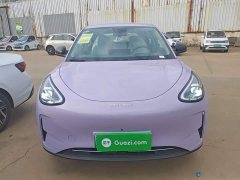 Geely Star Wish 2026 310km Dream Edition - ფოტო 3