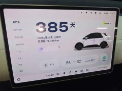 Nio Firefly Luminous Edition - ფოტო 12