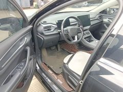BYD Destroyer 05 Glory Edition DM-i 55KM Luxury - ფოტო 16
