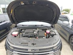 BYD Destroyer 05 Glory Edition DM-i 55KM Luxury - ფოტო 20