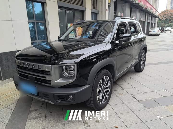 Great Wall Dachshund 2024 1.5T DCT Border Collie Edition - ავტომობილი ჩინეთიდან