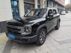 Great Wall Dachshund 2024 1.5T DCT Border Collie Edition - ფოტო 1