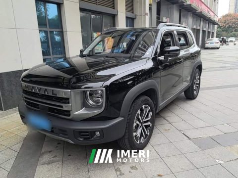 2025 Great Wall Dachshund 2024 1.5T DCT Border Collie Edition - ავტომობილი ჩინეთიდან