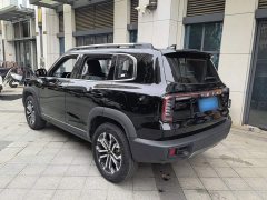 Great Wall Dachshund 2024 1.5T DCT Border Collie Edition - ფოტო 5