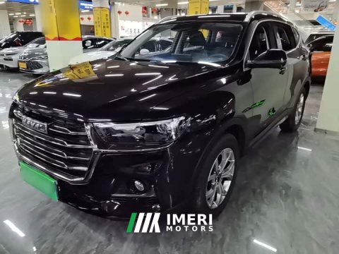 2021 Haval H6 National Trend 2.0GDIT Automatic Champion Edition - ავტომობილი ჩინეთიდან