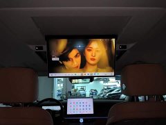 Tank 500 New Energy 2026 Hi4-T Smart Comfort Edition - ფოტო 18