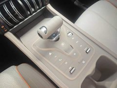 BYD Yuan Plus Champion Edition 510KM Transcendent - ფოტო 14