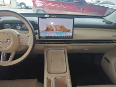 Wuling Bingo S 430km Flagship - ფოტო 13
