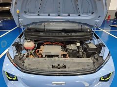 Geely Geometry E Firefly 401KM Linglong Tiger 5-Seater - ფოტო 16
