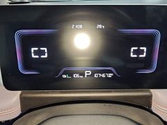 Geely Geometry E Firefly 401KM Linglong Tiger 5-Seater - ფოტო 8