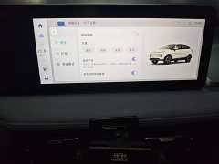 Geely Geometry E Firefly 401KM Linglong Tiger 5-Seater - ფოტო 9