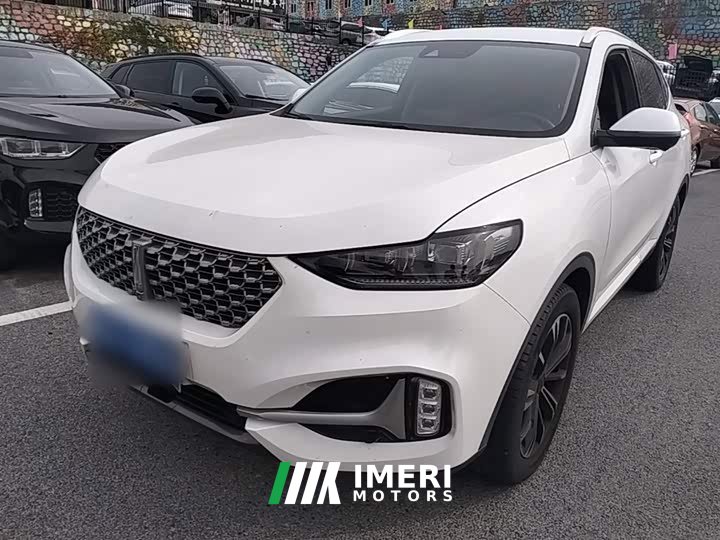 Great Wall WEY VV6 2.0T Two-Wheel Drive Smart Protection - ავტომობილი ჩინეთიდან