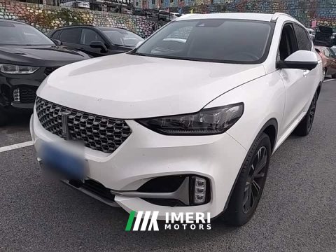 2021 Great Wall WEY VV6 2.0T Two-Wheel Drive Smart Protection - ავტომობილი ჩინეთიდან
