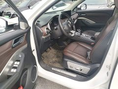 Great Wall WEY VV6 2.0T Two-Wheel Drive Smart Protection - ფოტო 12