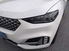 Great Wall WEY VV6 2.0T Two-Wheel Drive Smart Protection - ფოტო 18