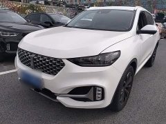 Great Wall WEY VV6 2.0T Two-Wheel Drive Smart Protection - ფოტო 2