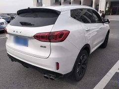 Great Wall WEY VV6 2.0T Two-Wheel Drive Smart Protection - ფოტო 5