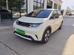 BYD Dolphin 2025 420km Freedom Edition - ფოტო 1