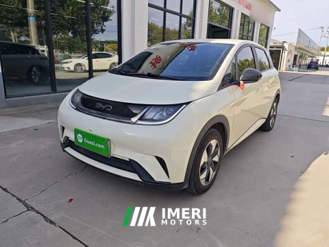 2026 BYD Dolphin 2025 420km Freedom Edition - ავტომობილი ჩინეთიდან
