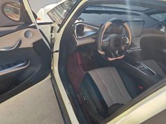 BYD Dolphin 2025 420km Freedom Edition - ფოტო 12
