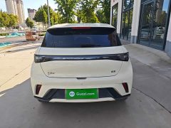 BYD Dolphin 2025 420km Freedom Edition - ფოტო 4