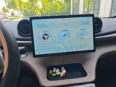 BYD Dolphin 2025 420km Freedom Edition - ფოტო 9