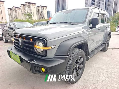 2022 Tank 300 2021 Off-Road Edition 2.0T Conqueror - ავტომობილი ჩინეთიდან