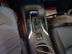Toyota Corolla Hybrid 1.8H E-CVT Luxury - ფოტო 14