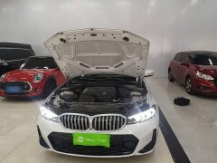 BMW 3 Series 320Li M Sport Package - ფოტო 16