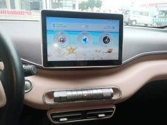 BYD Seagull Flying Edition - ფოტო 13