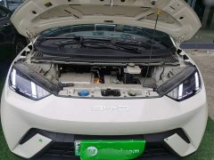 BYD Seagull Flying Edition - ფოტო 20