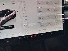 Tesla Model Y Rear-Wheel Drive - ფოტო 12
