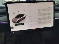 Tesla Model Y Rear-Wheel Drive - ფოტო 13