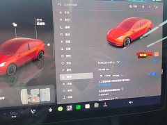 Tesla Model Y Rear-Wheel Drive - ფოტო 12