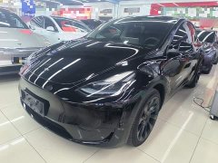 Tesla Model Y Rear-Wheel Drive - ფოტო 2