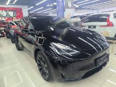 Tesla Model Y Rear-Wheel Drive - ფოტო 4