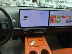 Li Auto L6 Pro - ფოტო 13