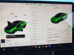 Tesla Model 3 Standard Range RWD Upgrade 3D6 - ფოტო 12