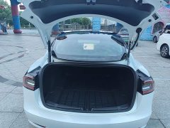 Tesla Model 3 Standard Range RWD Upgrade 3D6 - ფოტო 19
