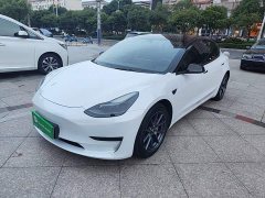 Tesla Model 3 Standard Range RWD Upgrade 3D6 - ფოტო 2