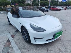 Tesla Model 3 Standard Range RWD Upgrade 3D6 - ფოტო 4