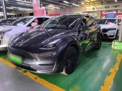 Tesla Model Y Rear-Wheel Drive - ფოტო 1