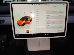 Tesla Model Y Rear-Wheel Drive - ფოტო 13