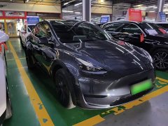 Tesla Model Y Rear-Wheel Drive - ფოტო 4