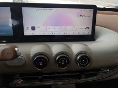 Wuling Binguo 2025 333km Lingxi Premium Edition - ფოტო 13