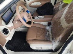 Wuling Binguo 2025 333km Lingxi Premium Edition - ფოტო 15