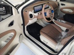 Wuling Binguo 2025 333km Lingxi Premium Edition - ფოტო 16