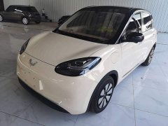 Wuling Binguo 2025 333km Lingxi Premium Edition - ფოტო 2