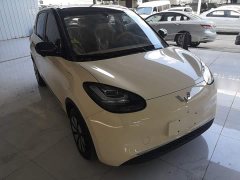 Wuling Binguo 2025 333km Lingxi Premium Edition - ფოტო 4