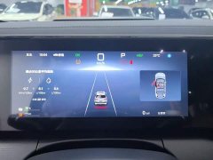 BYD Song L DM-i 112km Leading Edition - ფოტო 4